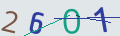 verifycode